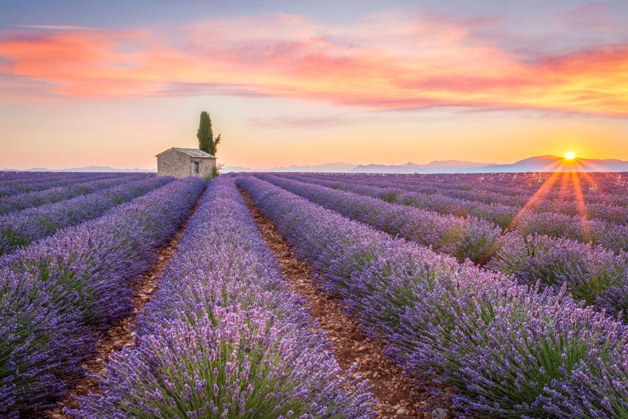 Provence Now Apartment Cabrieres-d'Avignon Ngoại thất bức ảnh