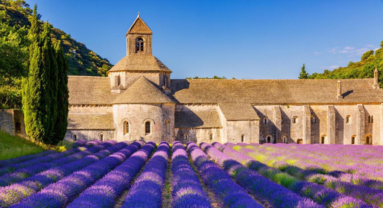 Provence Now Apartment Cabrieres-d'Avignon Ngoại thất bức ảnh