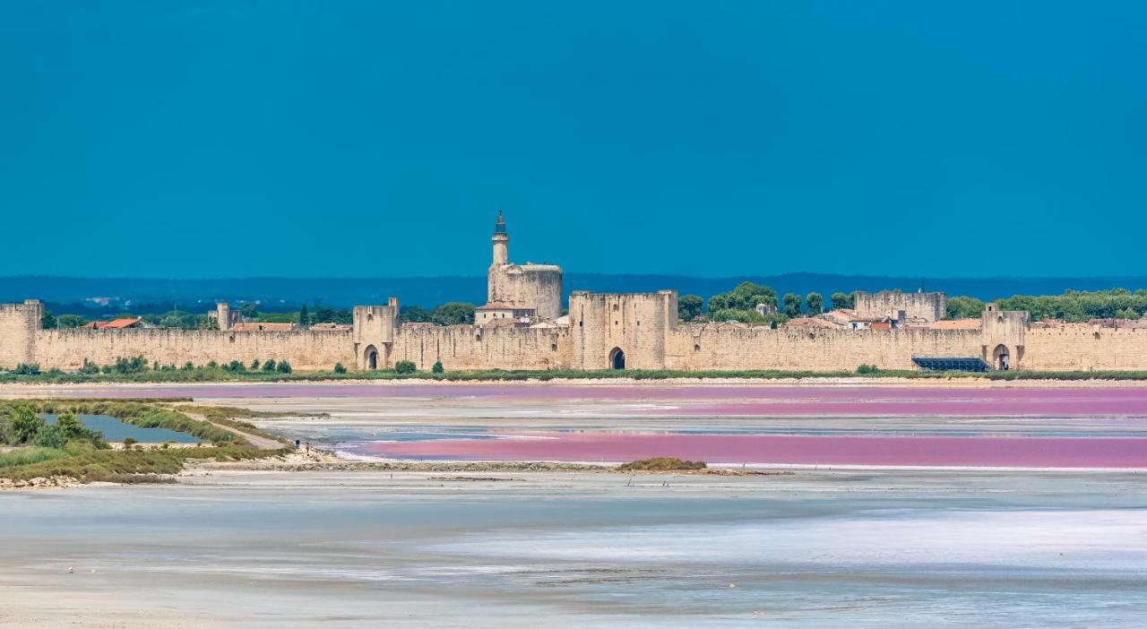 Provence Now Apartment Cabrieres-d'Avignon Ngoại thất bức ảnh